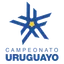 Primera Division