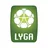 A Lyga