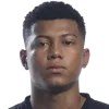 Alason Carioca