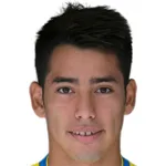 Sergio Araujo