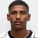 Vitor Meer