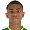 Marcelo Henrique