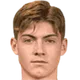Nikola Cavlina
