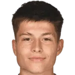 Esmir Bajraktarević