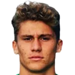Stefano Piccinini