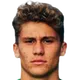 Stefano Piccinini