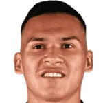 Marcelo Andrés Herrera Mansilla