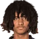 Malcolm Jeng