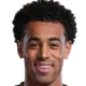Tyler Adams