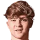 Harry Vaughan