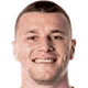 Milutin Osmajic
