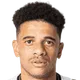 Taison