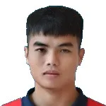 Duc Hoang Minh Nguyen