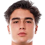 J. Goicochea