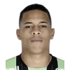 Vitão