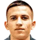Mihail Stefan