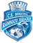 CSM Râmnicu Vâlcea