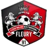 Fleury 91 W