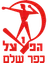 Hapoel Kfar Shalem