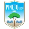 Pineto