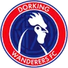 Dorking Wanderers