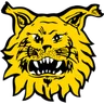 Ilves