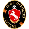 Deportes Limache