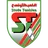 Stade Tunisien
