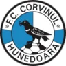 Corvinul Hunedoara